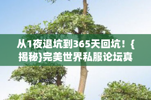 从1夜退坑到365天回坑!{揭秘}完美世界私服论坛真相 从1夜退坑到365天回坑!{揭秘}完美世界私服论坛真相