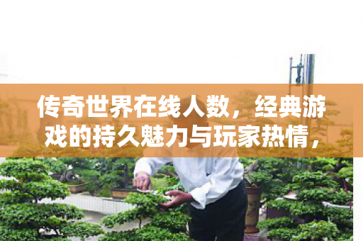 传奇世界在线人数，经典游戏的持久魅力与玩家热情，传奇世界，经典游戏的持久魅力与玩家热情