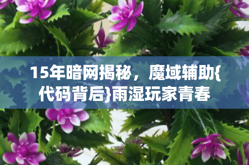 15年暗网揭秘图片