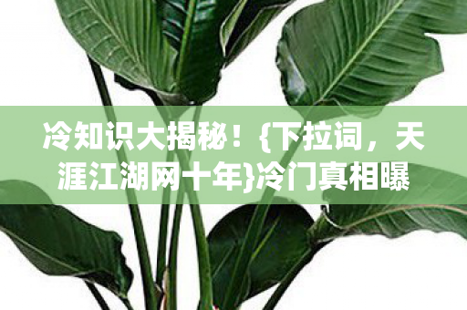 天涯江湖网十年图片