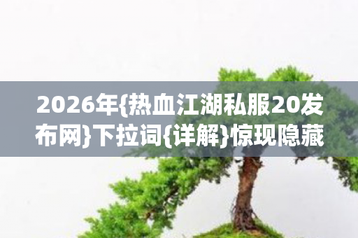 热血江湖私服20发布网图片