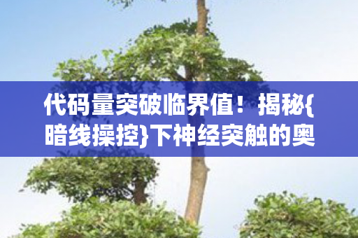 代码量突破临界值图片