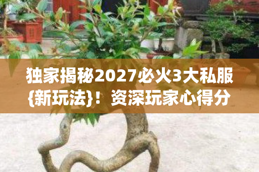 独家揭秘2027必火3大私服{新玩法}!资深玩家心得分享 独家揭秘2027必火3大私服{新玩法}!资深玩家心得分享