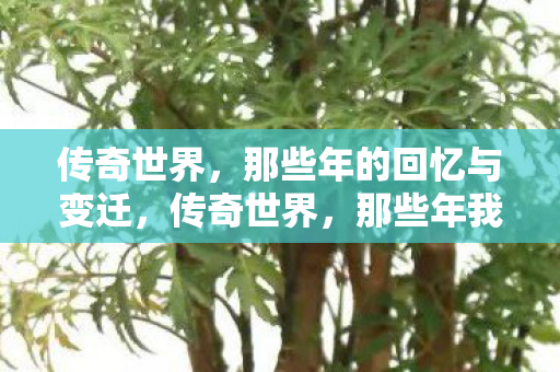 传奇世界,那些年的回忆与变迁,传奇世界,那些年我们的回忆与变迁 传奇世界,那些年的回忆与变迁,传奇世界,那些年我们的回忆与变迁