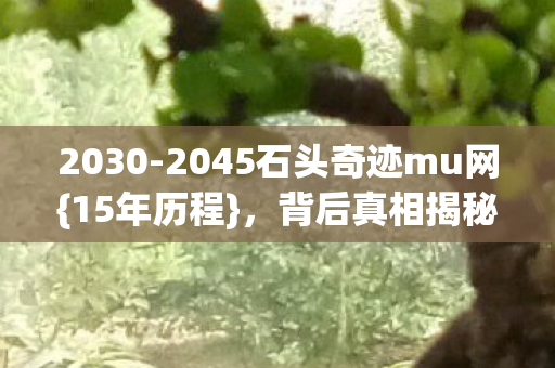 2045石头奇迹mu网图片