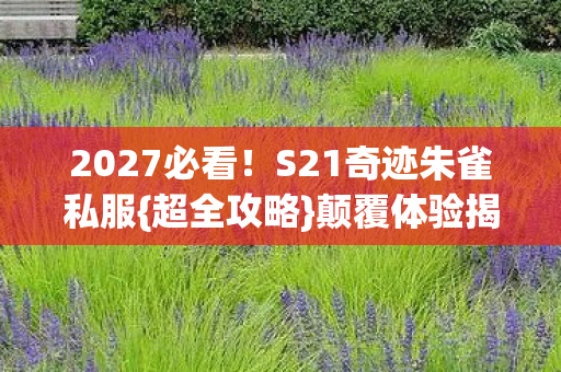 S21奇迹朱雀私服图片