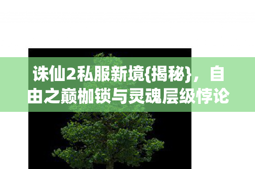 自由之巅枷锁与灵魂层级悖论图片