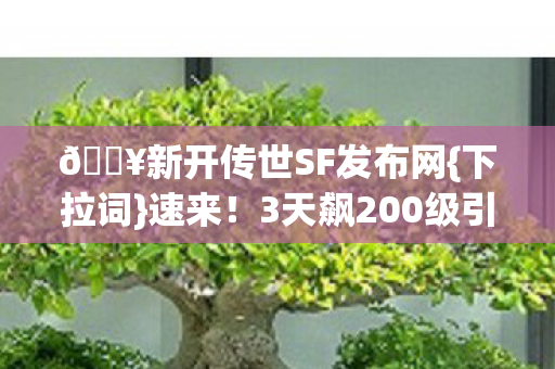 🔥新开传世SF发布网{下拉词}速来!3天飙200级引爆回忆 🔥新开传世SF发布网{下拉词}速来!3天飙200级引爆回忆