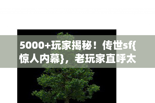 5000+玩家揭秘！传世sf{惊人内幕}，老玩家直呼太离谱