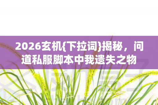 2026玄机{下拉词}揭秘,问道私服脚本中我遗失之物 2026玄机{下拉词}揭秘,问道私服脚本中我遗失之物