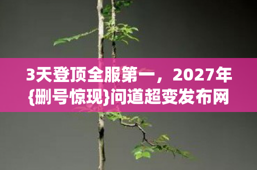 3天登顶全服第一，2027年{删号惊现}问道超变发布网真相