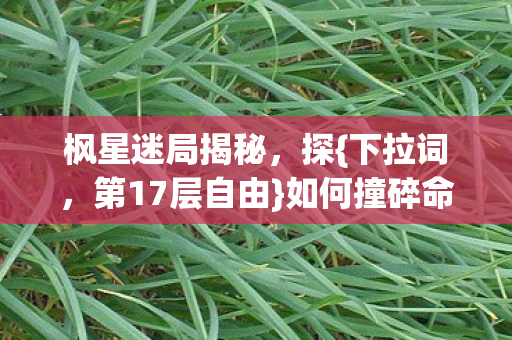 如何撞碎命运枷锁图片