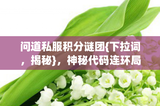 问道私服积分谜团{下拉词，揭秘}，神秘代码连环局真相