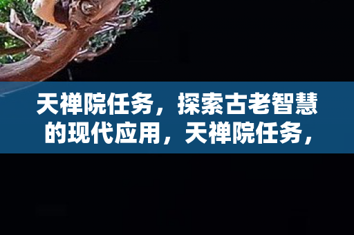 天禅院任务，探索古老智慧的现代应用，天禅院任务，探索古老智慧的现代应用