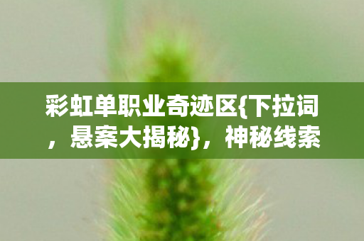彩虹单职业奇迹区图片