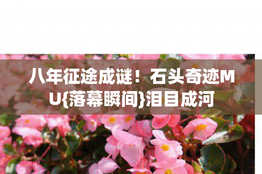 八年征途成谜图片