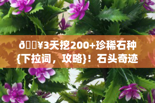 石头奇迹网太绝了图片