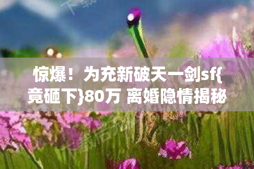 80万 离婚隐情揭秘图片