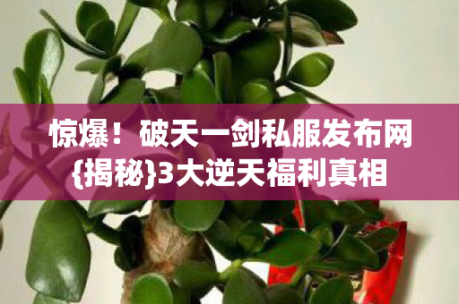 破天一剑私服发布网图片