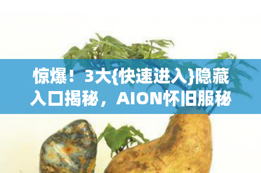 AION怀旧服秘密图片
