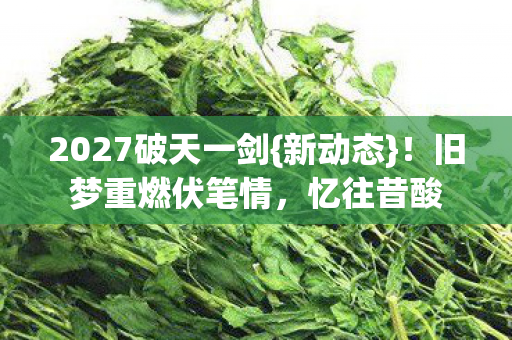 2027破天一剑图片