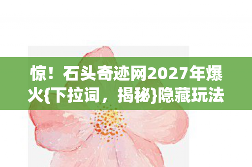 石头奇迹网2027年爆火图片