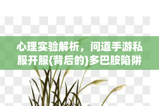 心理实验解析,问道手游私服开服{背后的}多巴胺陷阱真相 心理实验解析,问道手游私服开服{背后的}多巴胺陷阱真相