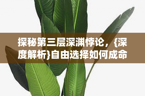 探秘第三层深渊悖论,{深度解析}自由选择如何成命运枷锁 探秘第三层深渊悖论,{深度解析}自由选择如何成命运枷锁