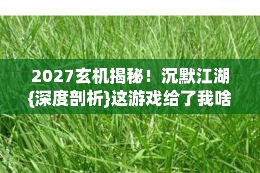 2027玄机揭秘!沉默江湖{深度剖析}这游戏给了我啥? 2027玄机揭秘!沉默江湖{深度剖析}这游戏给了我啥?