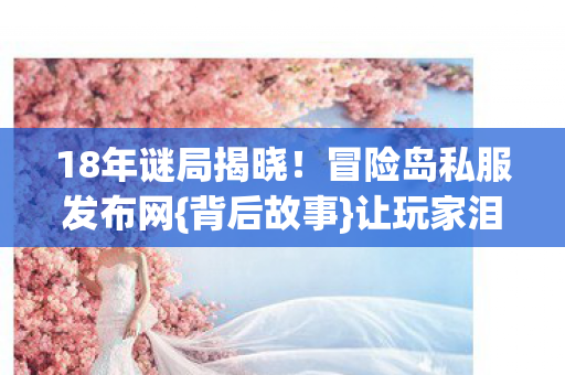 冒险岛私服发布网图片