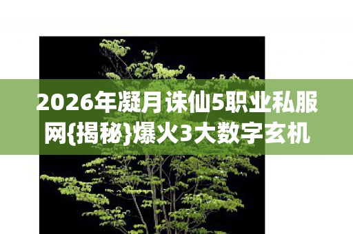 2026年凝月诛仙5职业私服网图片