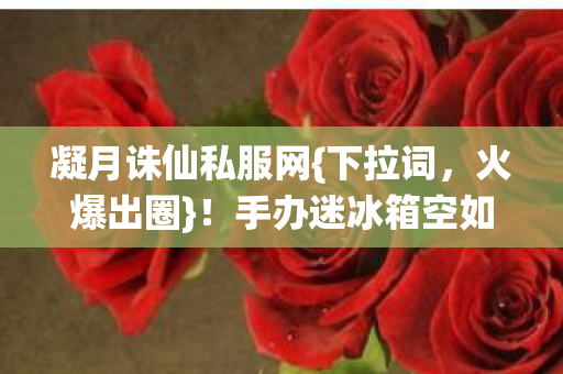 手办迷冰箱空如洗咋回事图片