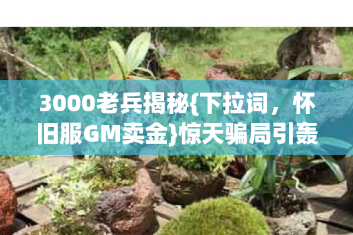 3000老兵揭秘图片