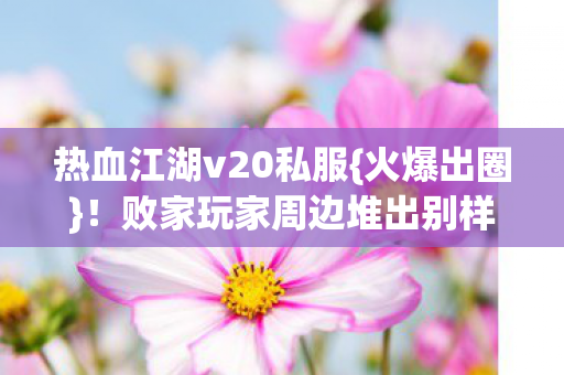 败家玩家周边堆出别样人生图片
