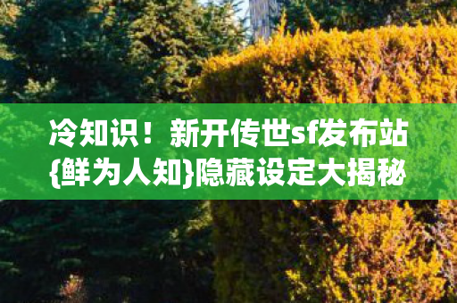新开传世sf发布站图片