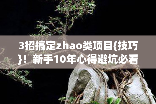 3招搞定zhao类项目图片