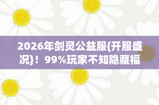 2026年剑灵公益服图片