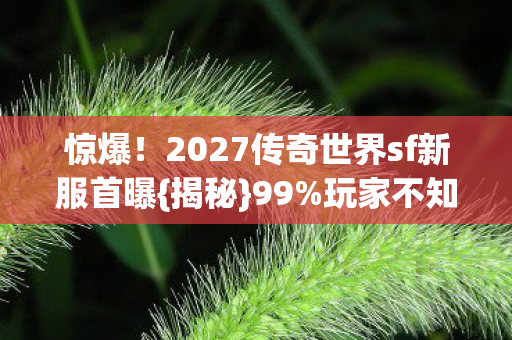 2027传奇世界sf新服首曝图片