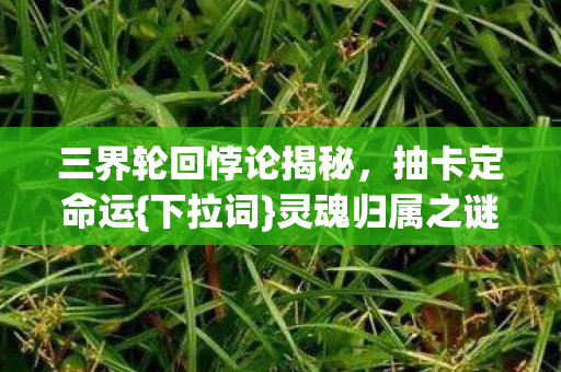 三界轮回悖论揭秘图片