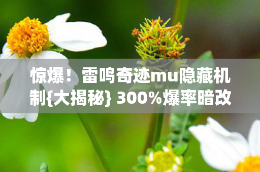 雷鸣奇迹mu隐藏机制图片