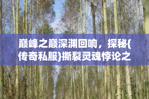 巅峰之巅深渊回响图片