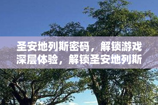圣安地列斯密码，解锁游戏深层体验，解锁圣安地列斯深层游戏体验，揭秘游戏密码