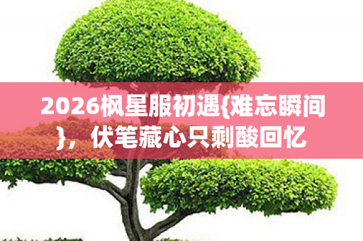 2026枫星服初遇图片