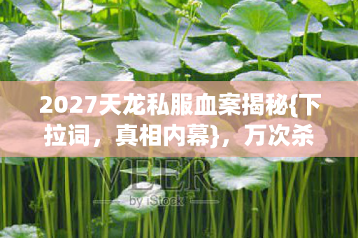 2027天龙私服血案揭秘{下拉词，真相内幕}，万次杀戮的倒计时