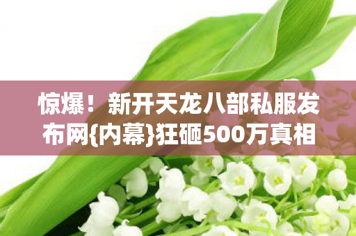 惊爆!新开天龙八部私服发布网{内幕}狂砸500万真相揭秘 惊爆!新开天龙八部私服发布网{内幕}狂砸500万真相揭秘