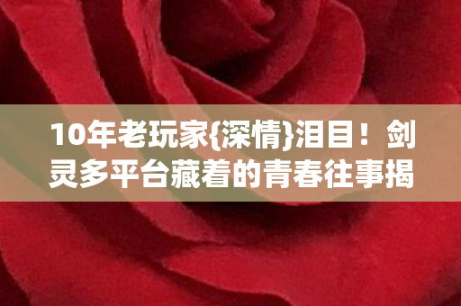 剑灵多平台藏着的青春往事揭秘图片