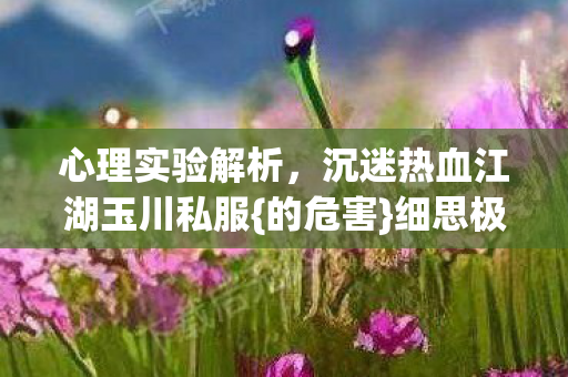 沉迷热血江湖玉川私服图片