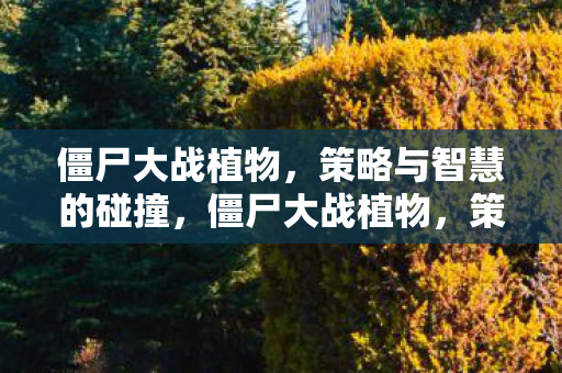 僵尸大战植物，策略与智慧的碰撞，僵尸大战植物，策略与智慧的终极对决