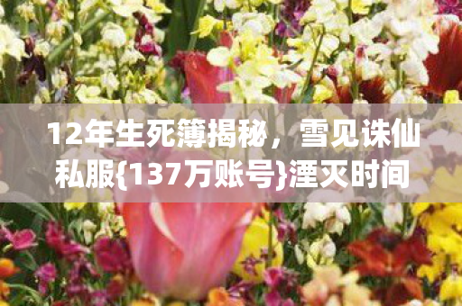 12年生死簿揭秘图片