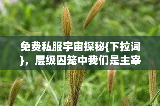 层级囚笼中我们是主宰吗图片